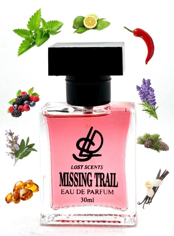 Missing Trail - Image 3