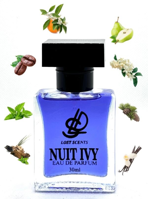 NUIT IVY - Image 3