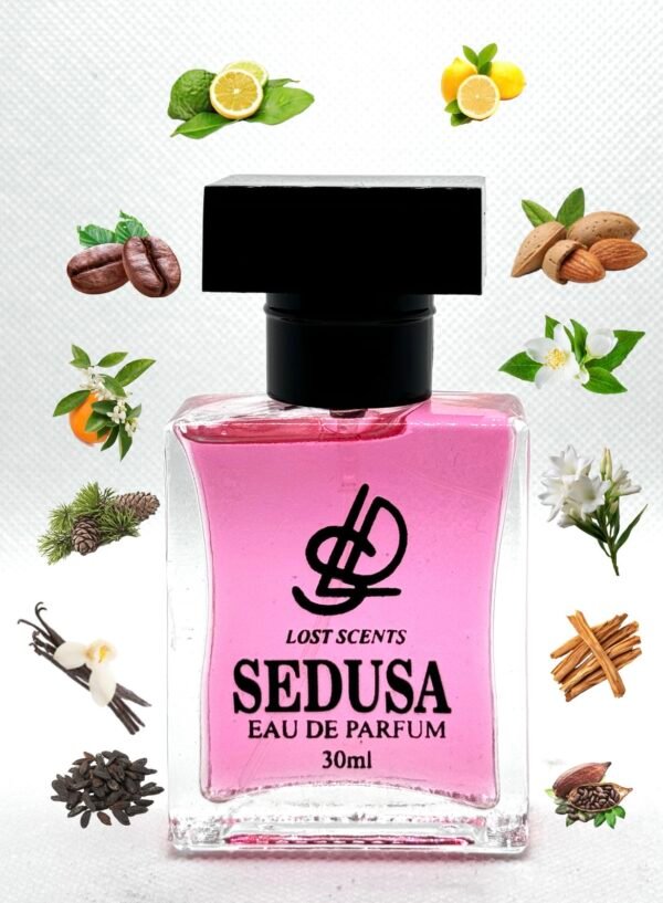 SEDUSA - Image 3